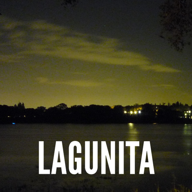 Lagunita cover, a long-exposure photo of Lake Lagunita with light in the sky.
