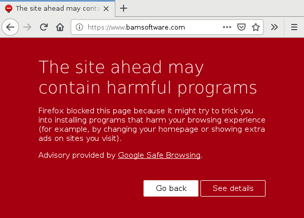 Screenshot of https://www.bamsoftware.com/ showing a Safe Browsing interstitial.