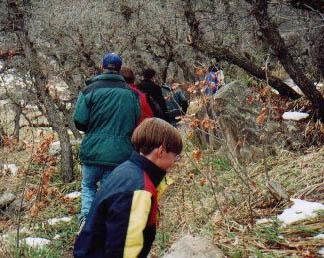 Scouts Hiking